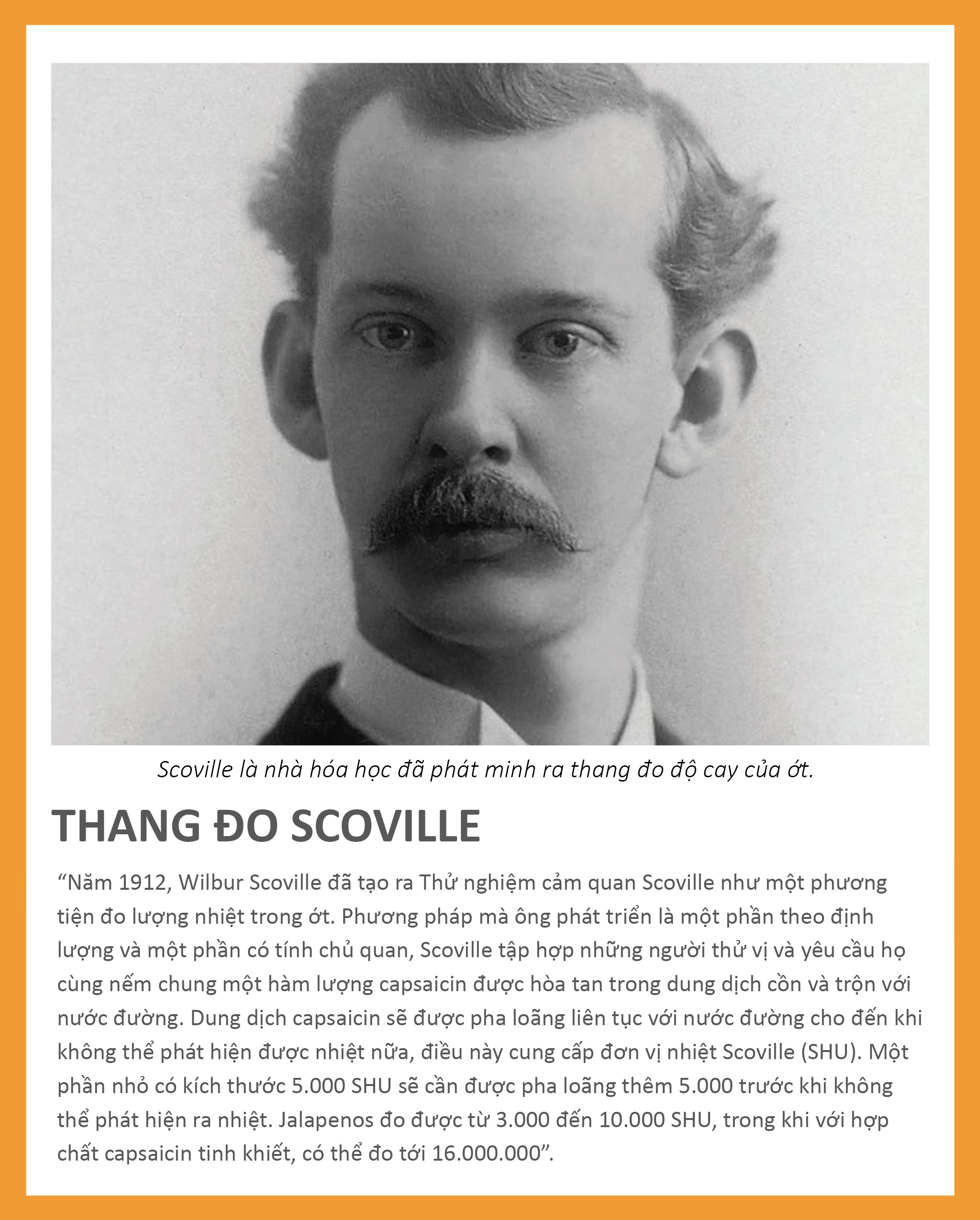 Thông tin thang đo Scoville