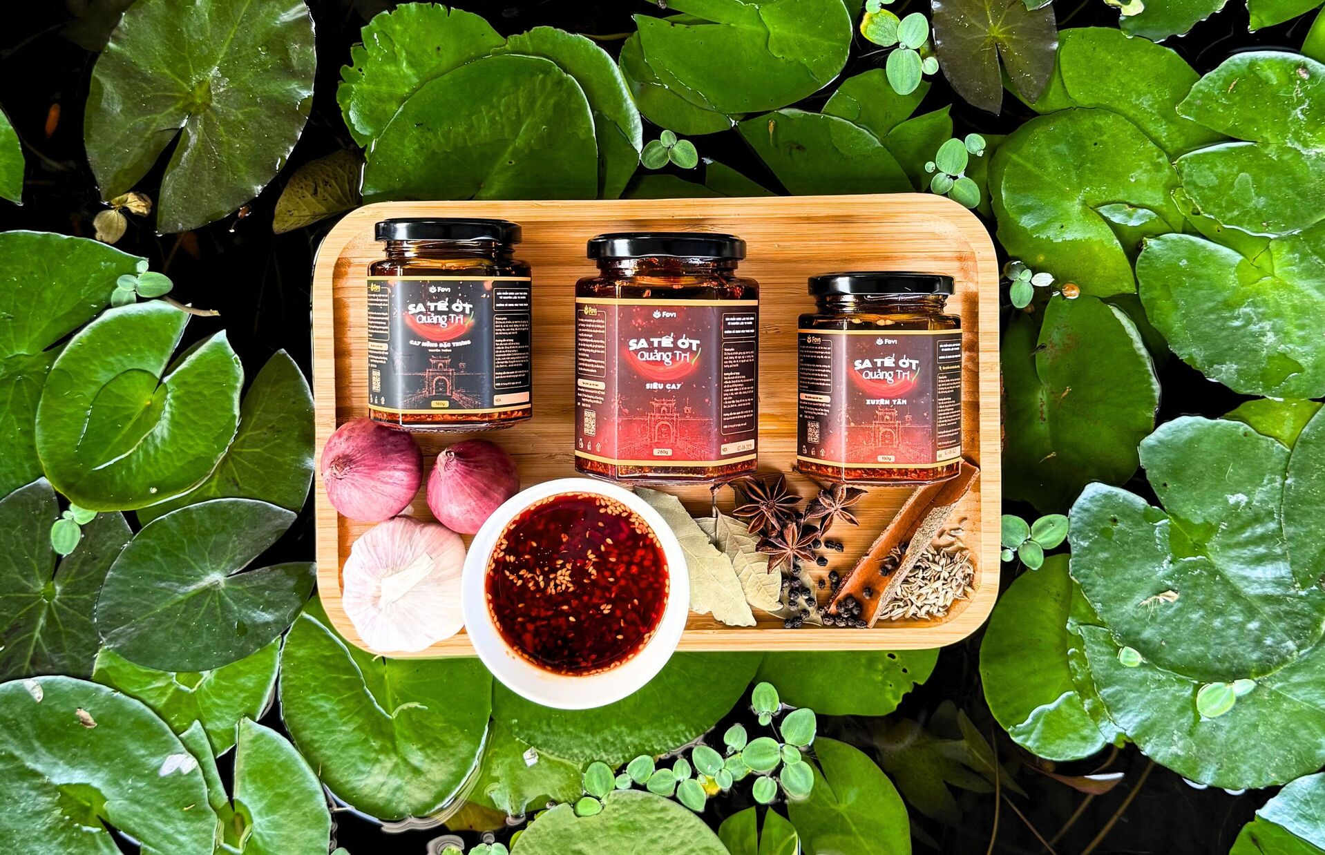 Cách bảo quản sate fovi